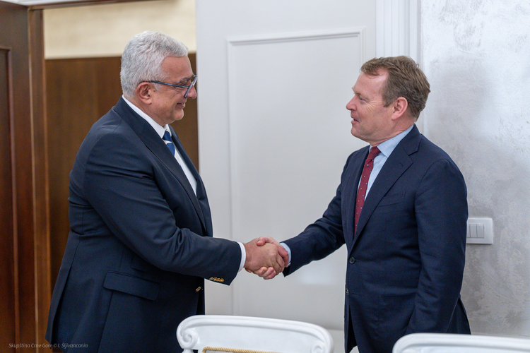 Предсједник Мандић са високим представником 
ОЕБС Кристофом Кампом